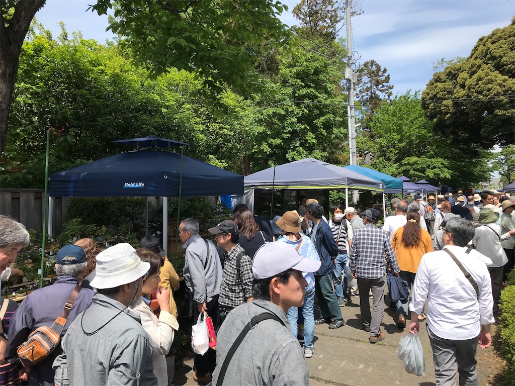 f:id:bonsaichie:20190505230834j:image