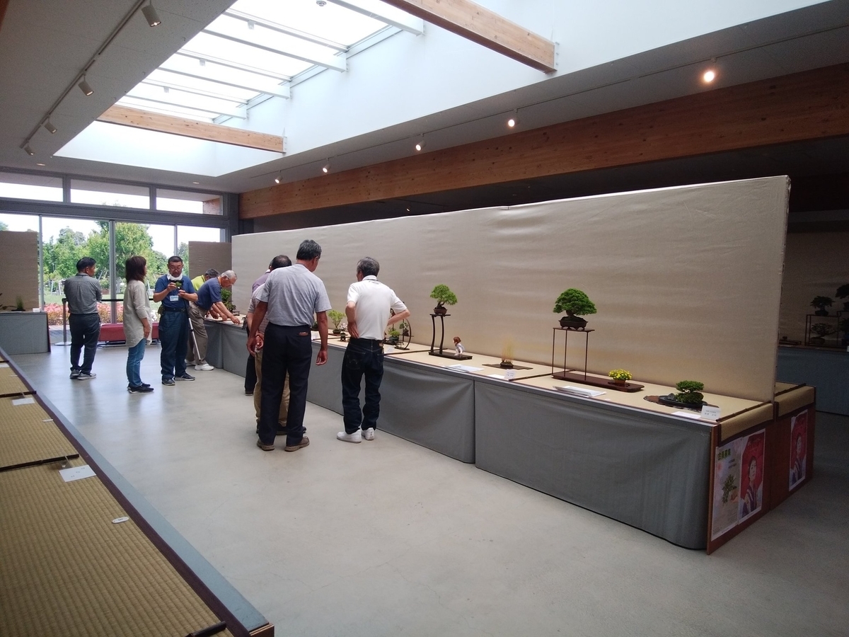 f:id:bonsaichie:20190606162202j:plain f:id:bonsaichie:20190606162202j:plain