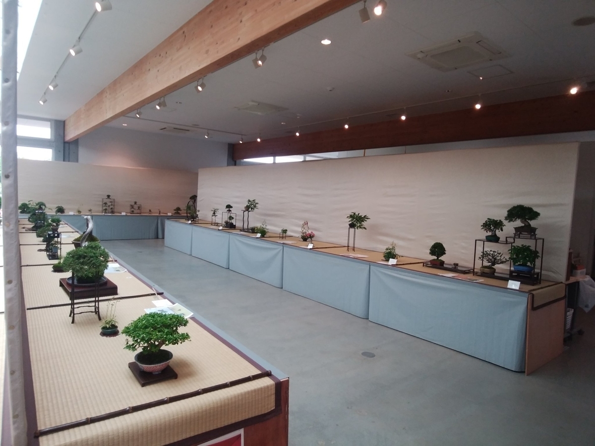 f:id:bonsaichie:20190606162246j:plain f:id:bonsaichie:20190606162246j:plain
