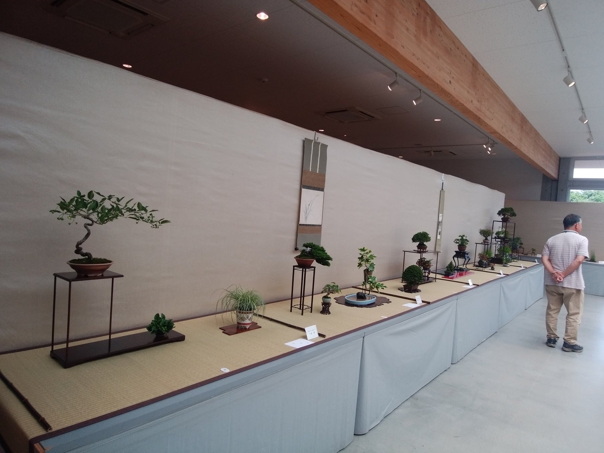 f:id:bonsaichie:20190606162419j:plain f:id:bonsaichie:20190606162419j:plain