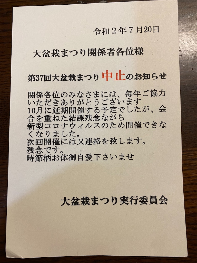 f:id:bonsaichie:20200722000024j:image f:id:bonsaichie:20200722000024j:image