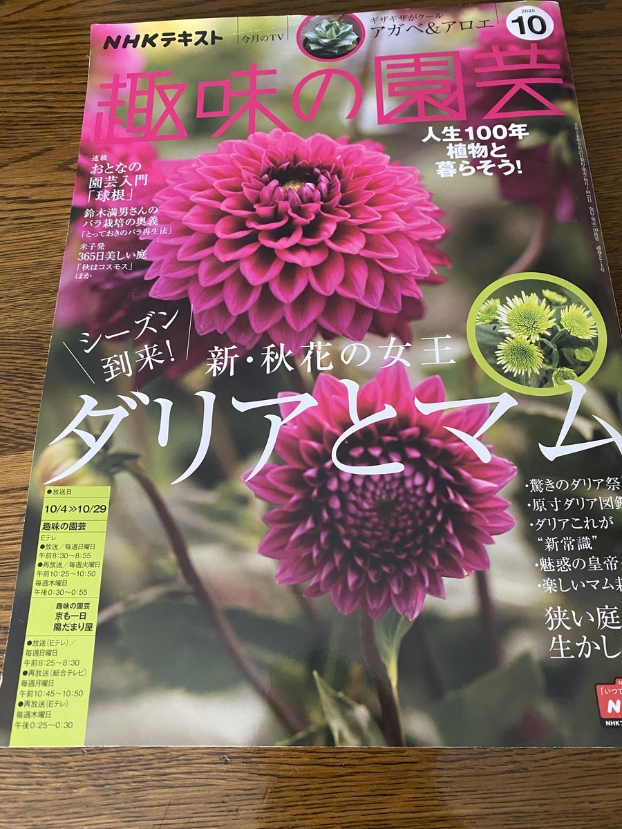 f:id:bonsaichie:20201026094056j:plain f:id:bonsaichie:20201026094056j:plain