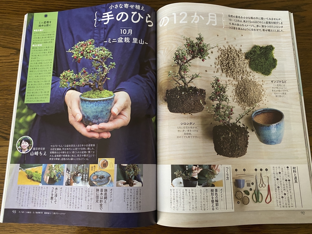 f:id:bonsaichie:20201026094107j:plain f:id:bonsaichie:20201026094107j:plain