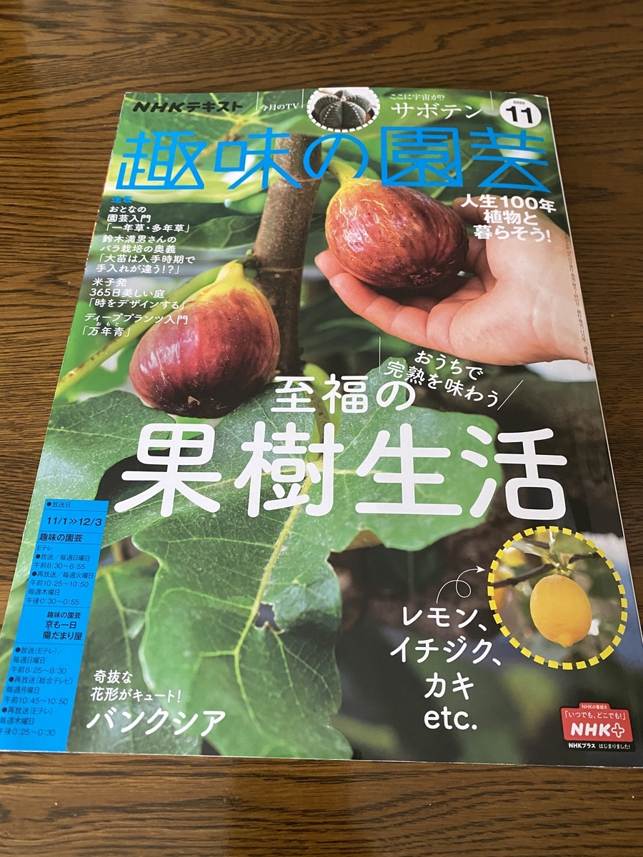 f:id:bonsaichie:20201026094215j:plain f:id:bonsaichie:20201026094215j:plain
