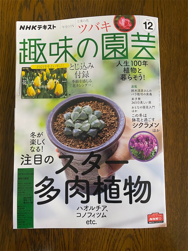 f:id:bonsaichie:20201212093809j:image f:id:bonsaichie:20201212093809j:image