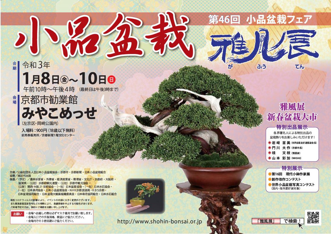 f:id:bonsaichie:20201231174852j:plain
