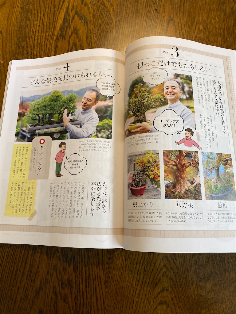 f:id:bonsaichie:20210127212742j:image f:id:bonsaichie:20210127212742j:image
