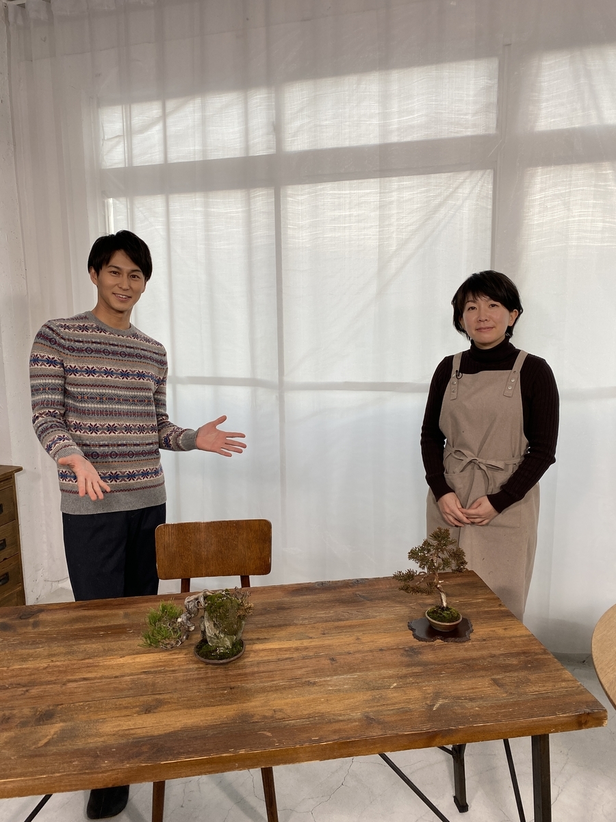 f:id:bonsaichie:20210203121336j:plain