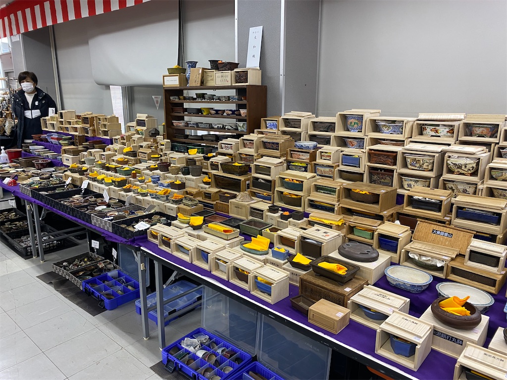 f:id:bonsaichie:20210208121313j:image f:id:bonsaichie:20210208121313j:image