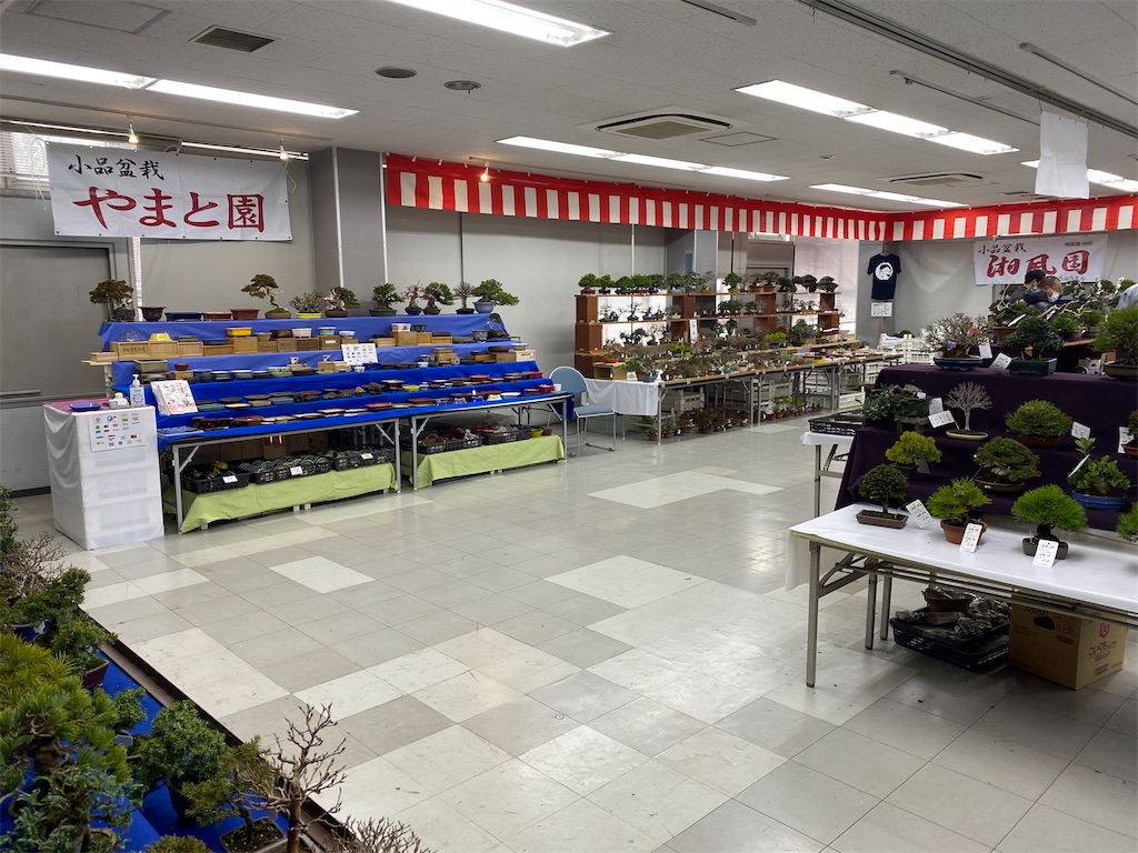 f:id:bonsaichie:20210208121330j:image f:id:bonsaichie:20210208121330j:image