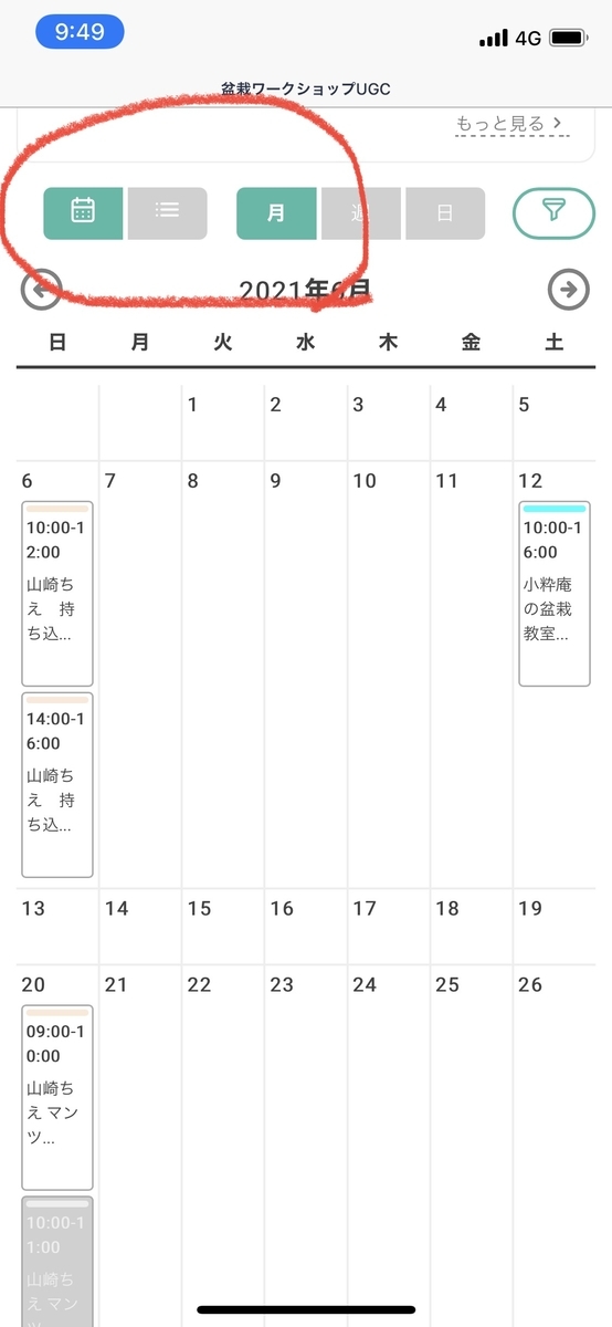 f:id:bonsaichie:20210514111529j:plain