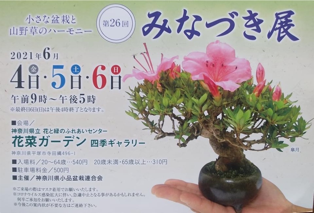 f:id:bonsaichie:20210604222022j:image f:id:bonsaichie:20210604222022j:image