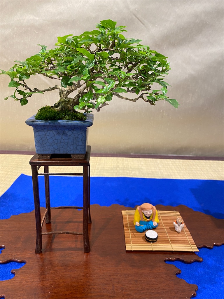 f:id:bonsaichie:20210604222308j:image f:id:bonsaichie:20210604222308j:image