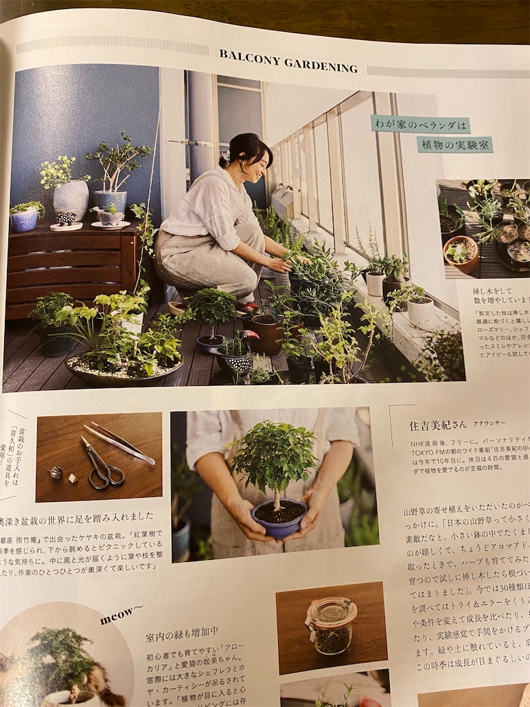 f:id:bonsaichie:20210820222001j:image
