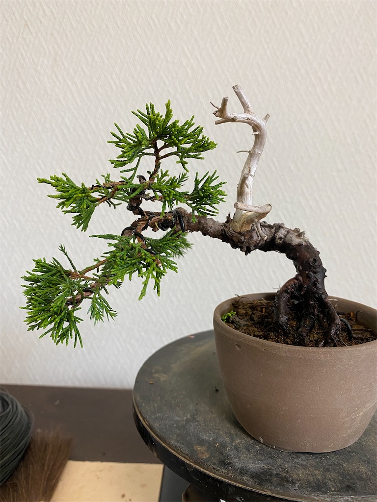 f:id:bonsaichie:20210902233925j:image