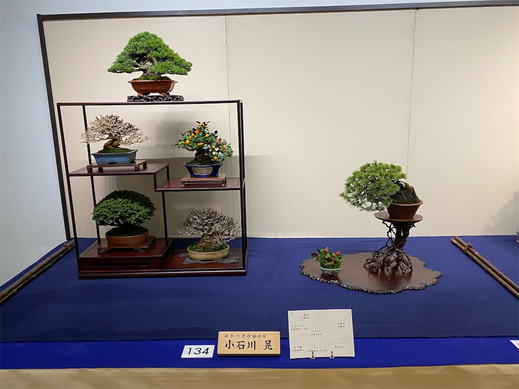 f:id:bonsaichie:20220210145104j:image