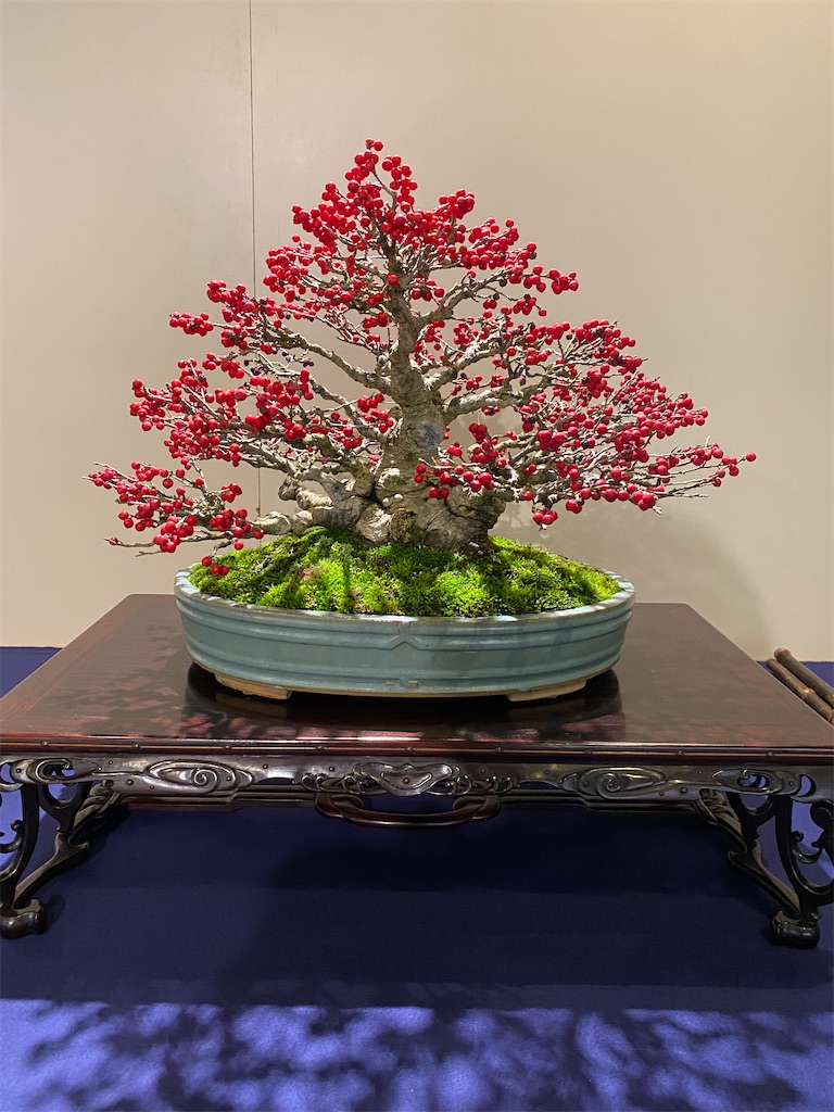 f:id:bonsaichie:20220210145113j:image