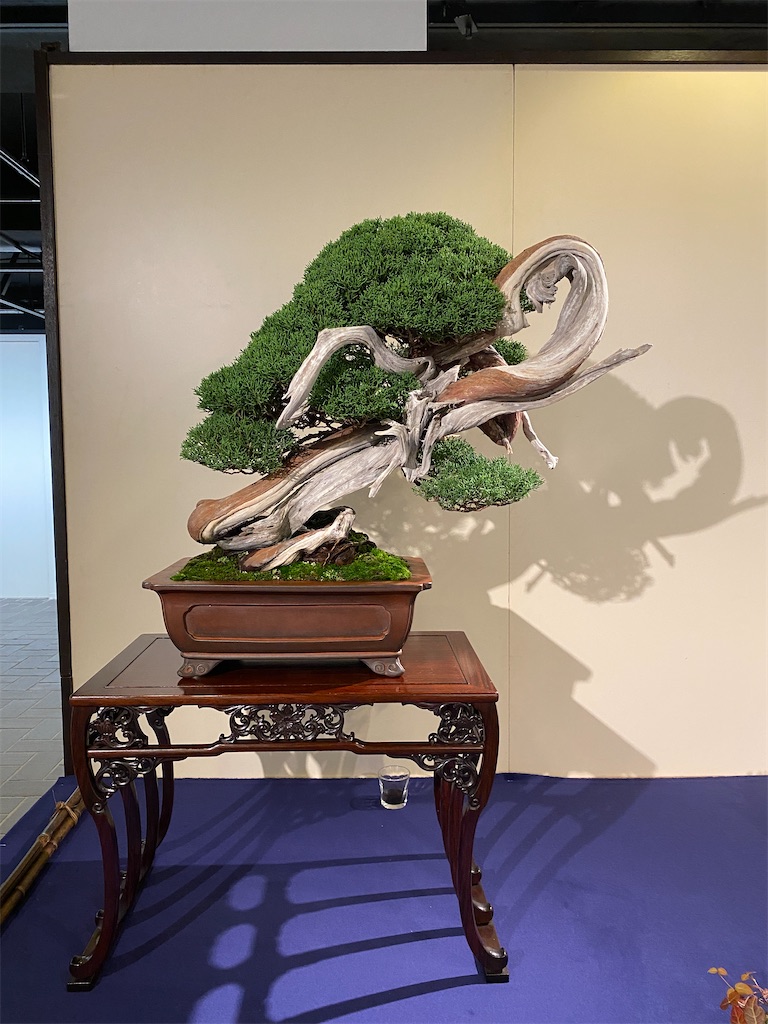 f:id:bonsaichie:20220210145118j:image