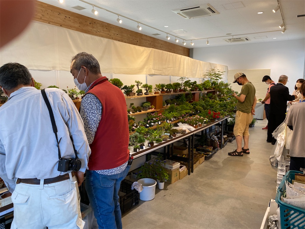 f:id:bonsaichie:20220603133557j:image