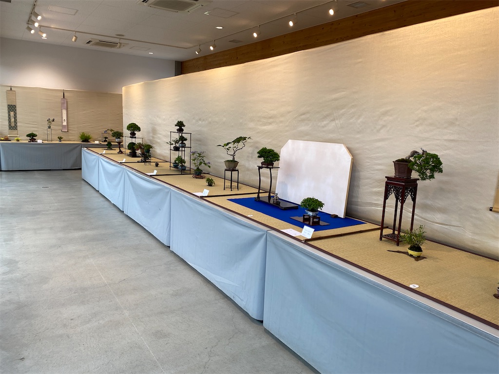 f:id:bonsaichie:20220603133611j:image f:id:bonsaichie:20220603133611j:image