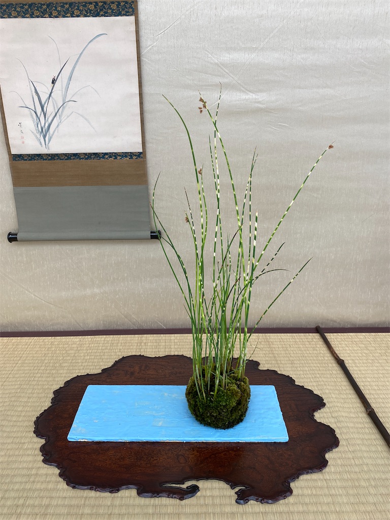 f:id:bonsaichie:20220603133651j:image f:id:bonsaichie:20220603133651j:image