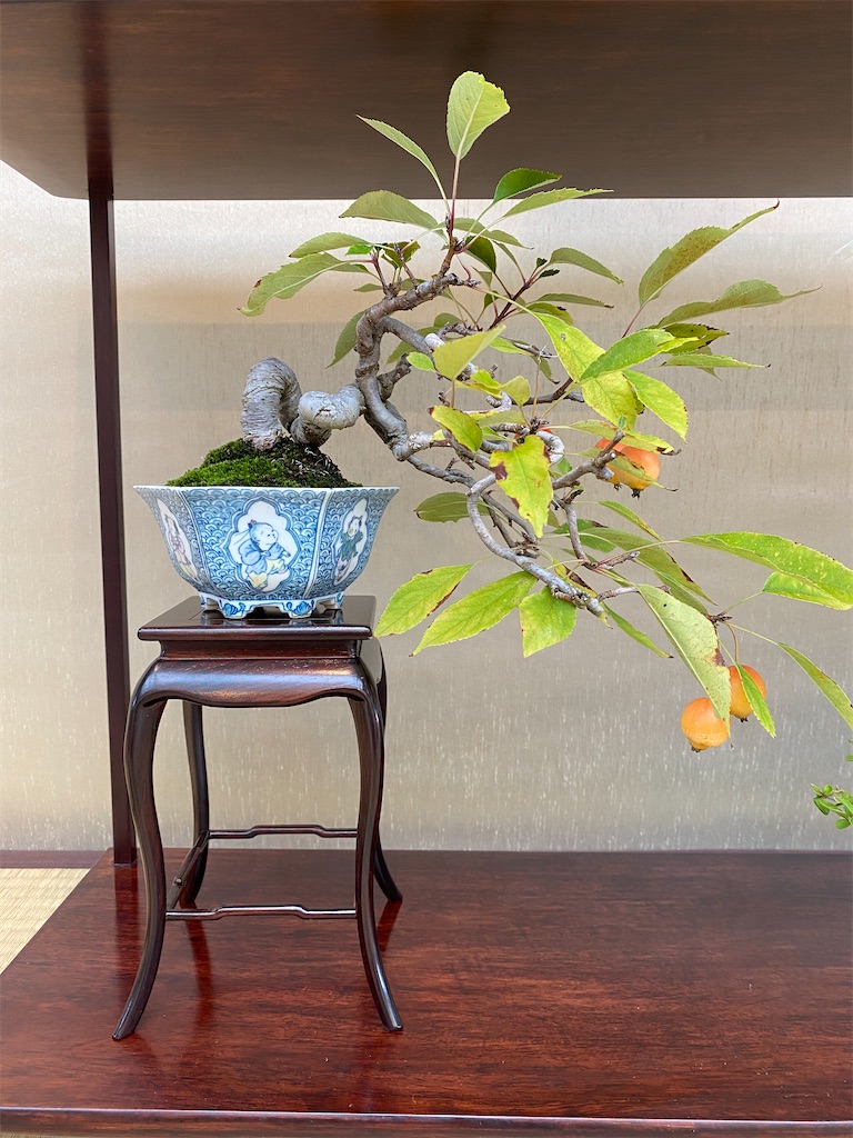f:id:bonsaichie:20221007100233j:image f:id:bonsaichie:20221007100233j:image