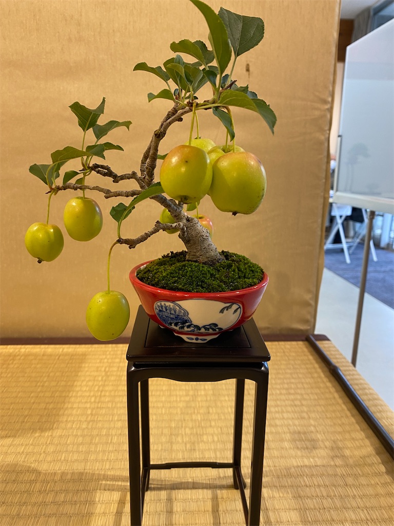 f:id:bonsaichie:20221007100306j:image f:id:bonsaichie:20221007100306j:image
