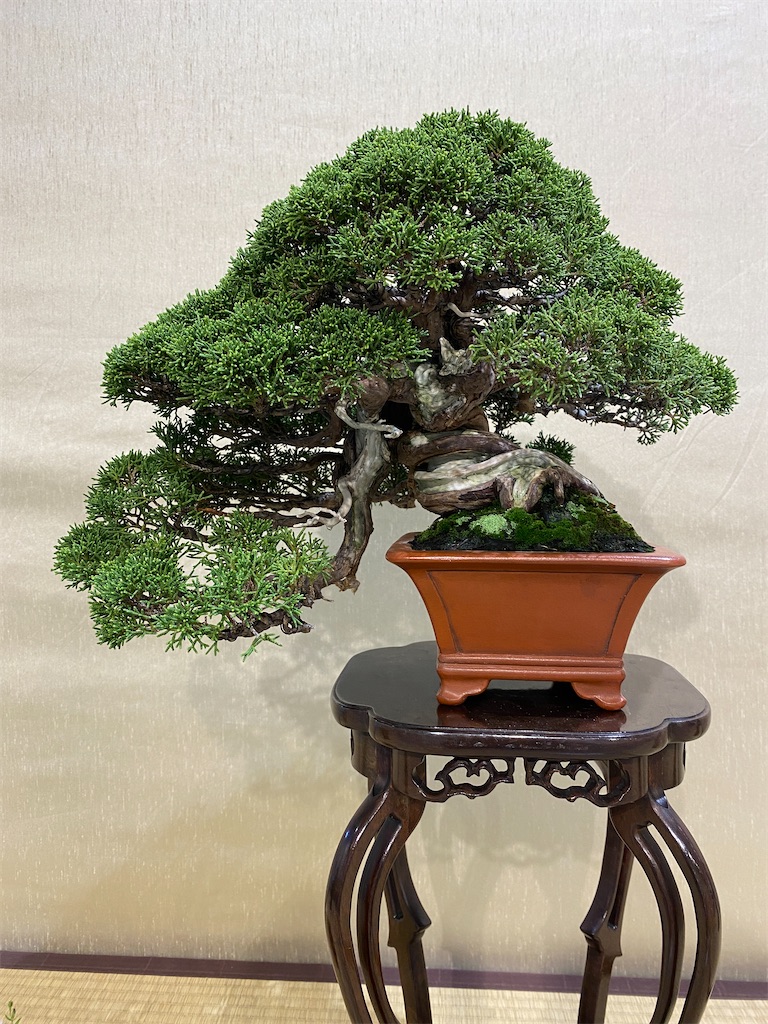 f:id:bonsaichie:20221007100341j:image f:id:bonsaichie:20221007100341j:image