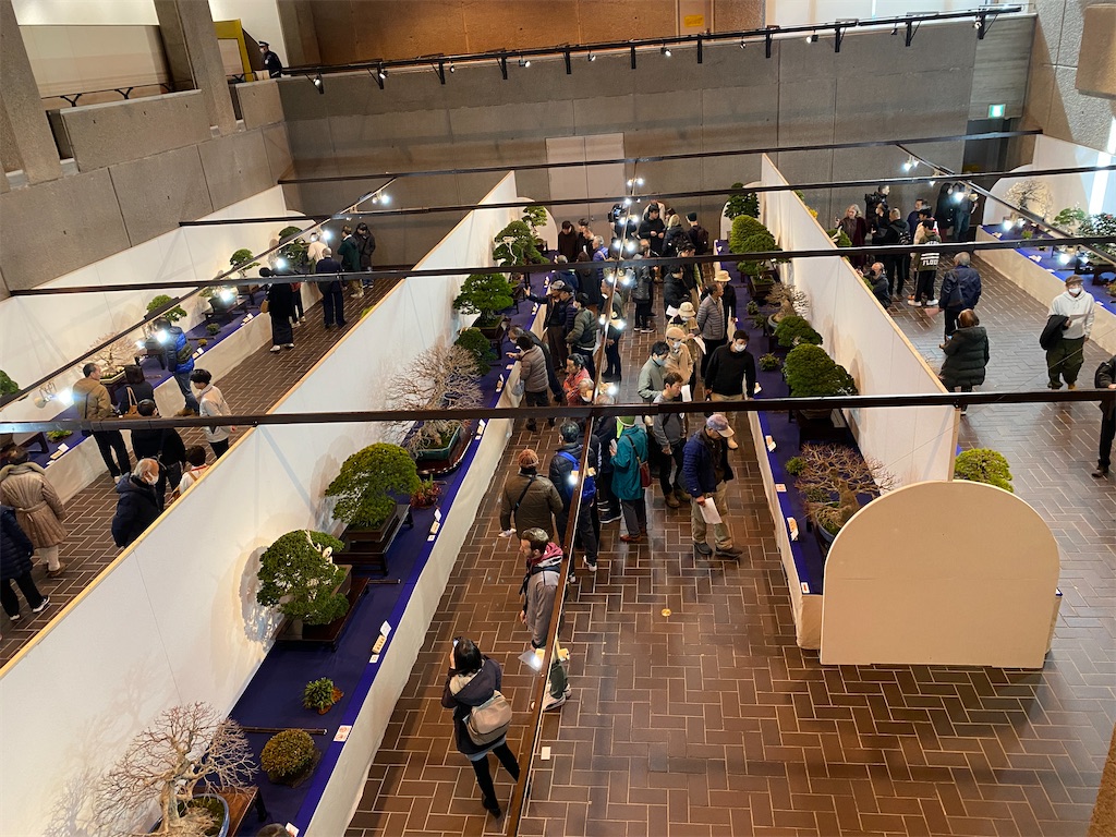 f:id:bonsaichie:20240211222635j:image f:id:bonsaichie:20240211222635j:image