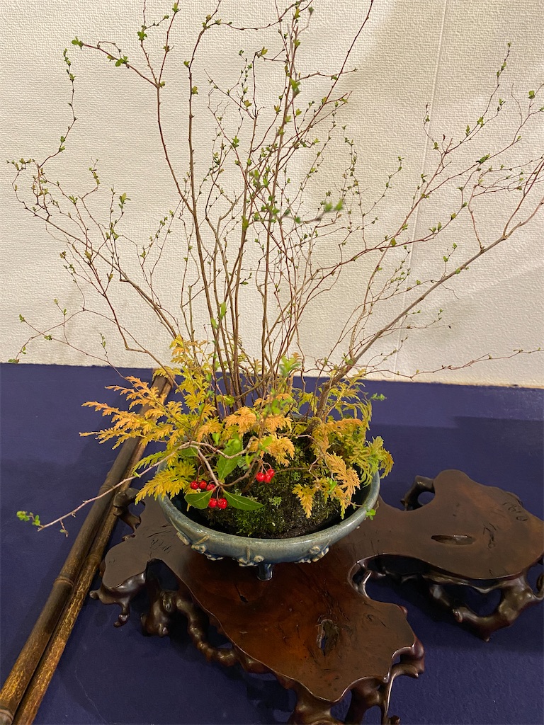 f:id:bonsaichie:20240211222700j:image f:id:bonsaichie:20240211222700j:image