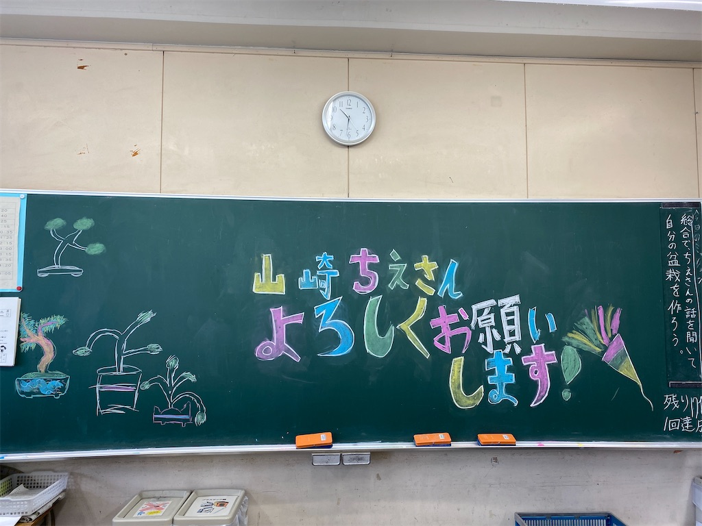 f:id:bonsaichie:20240613234839j:image