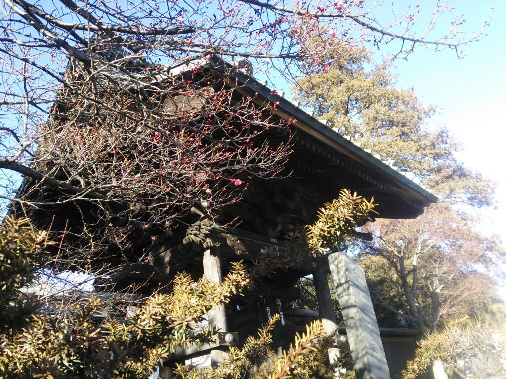 f:id:bontosyougatu:20180207200539j:plain f:id:bontosyougatu:20180207200539j:plain