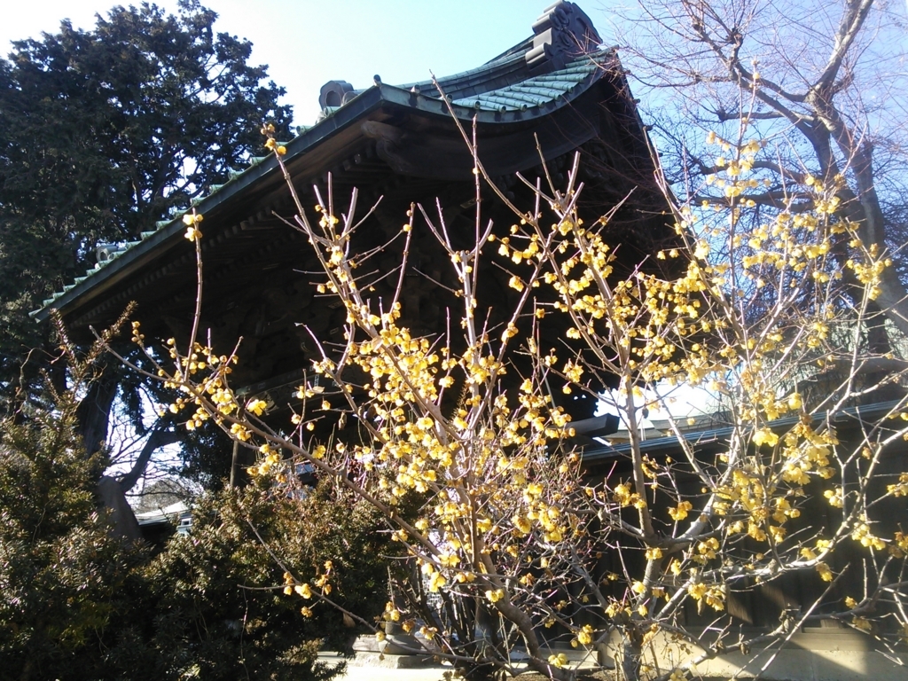 f:id:bontosyougatu:20180207200925j:plain f:id:bontosyougatu:20180207200925j:plain