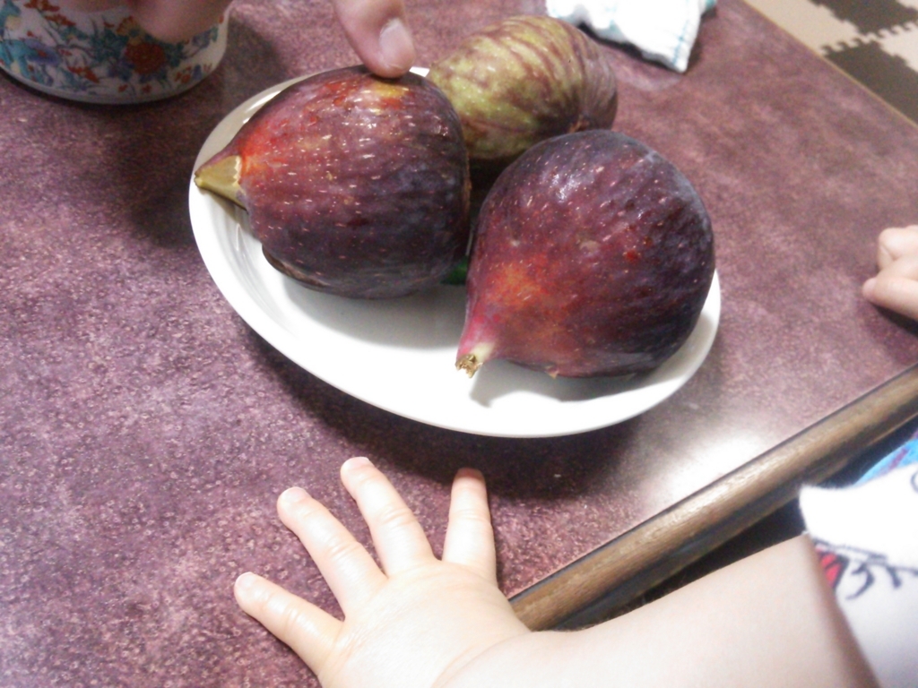 f:id:bontosyougatu:20180617200048j:plain