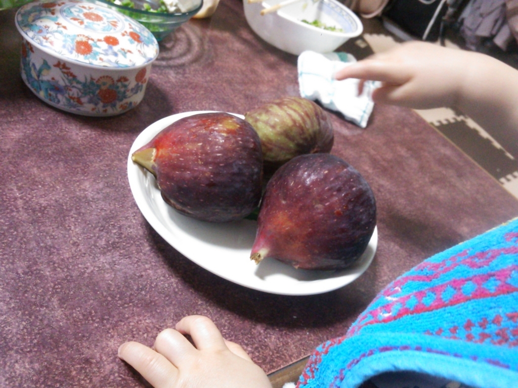 f:id:bontosyougatu:20180617200109j:plain