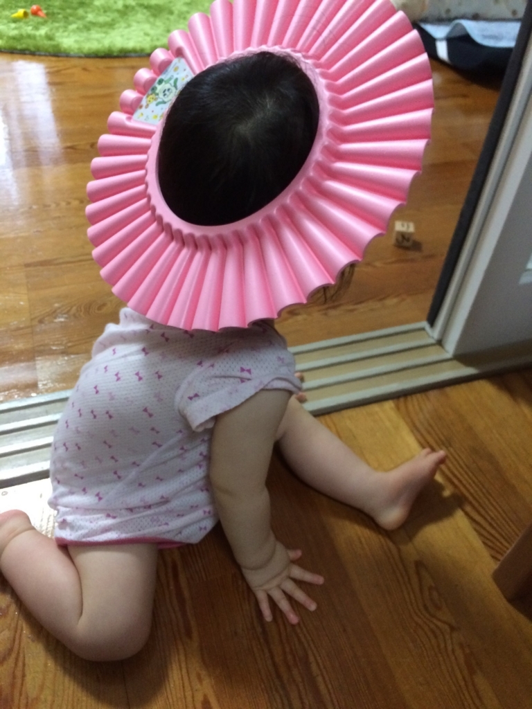 f:id:bontosyougatu:20180621213959j:plain