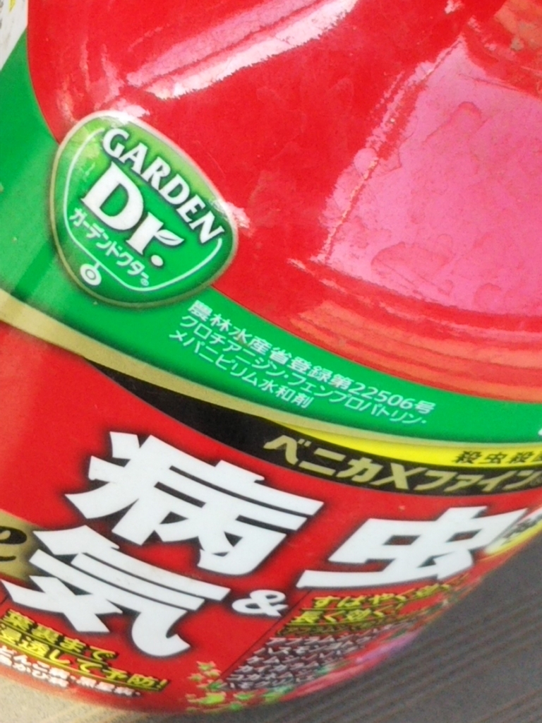 f:id:bontosyougatu:20180717211840j:plain