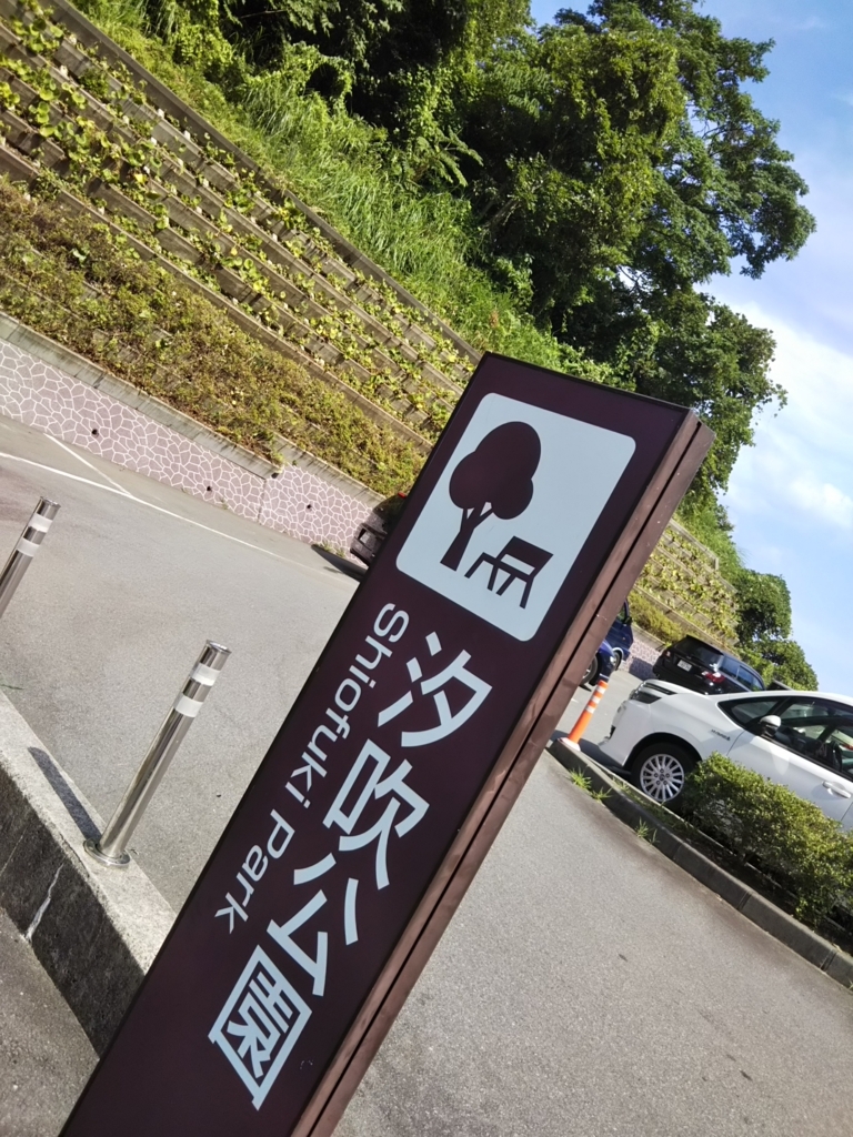 f:id:bontosyougatu:20180722202154j:plain
