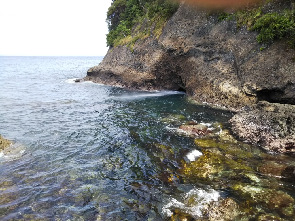 f:id:bontosyougatu:20180722202345j:plain