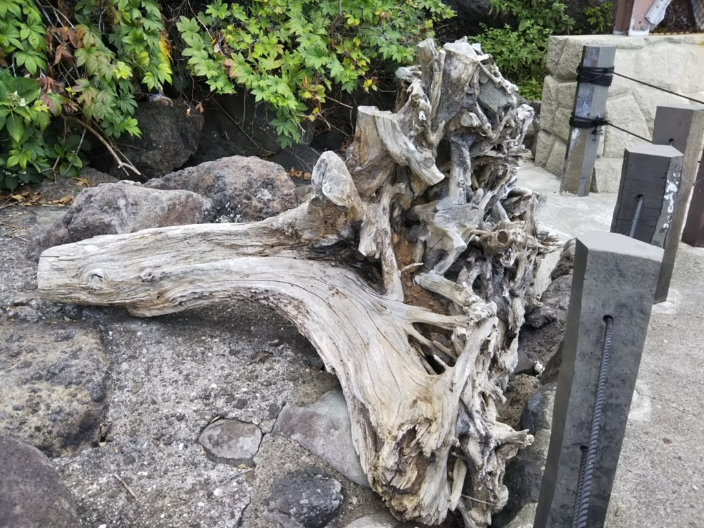 f:id:bontosyougatu:20180722202424j:plain