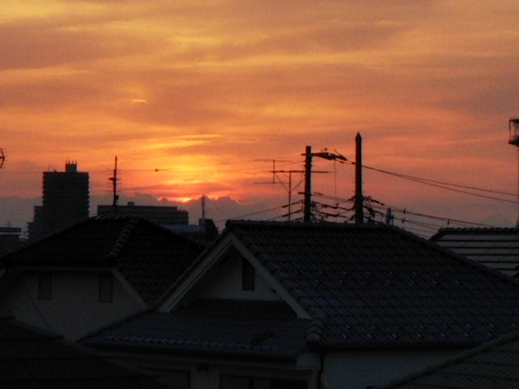 f:id:bontosyougatu:20180802205128j:plain