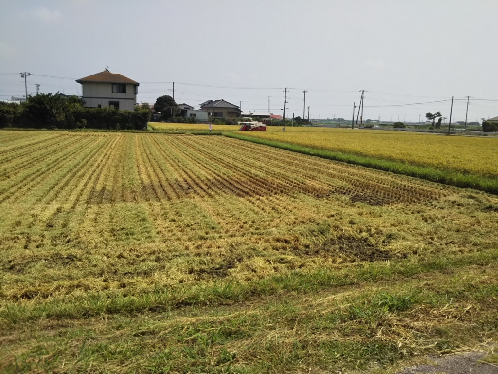 f:id:bontosyougatu:20180805190741j:plain