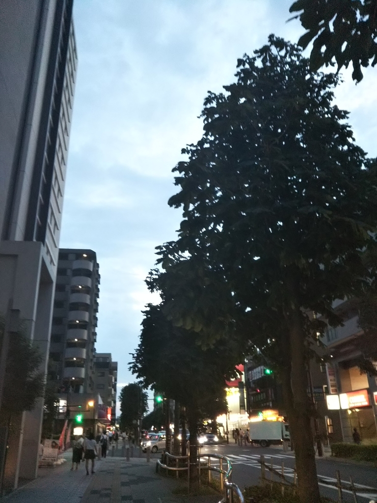f:id:bontosyougatu:20180830211558j:plain