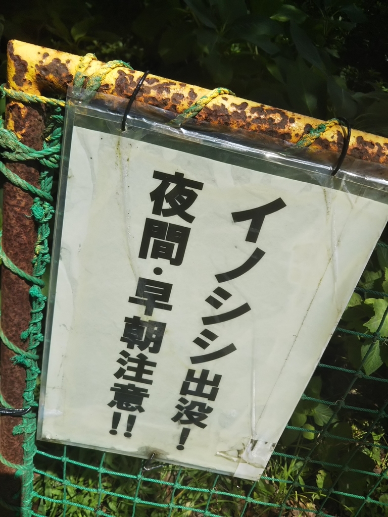 f:id:bontosyougatu:20180923141558j:plain