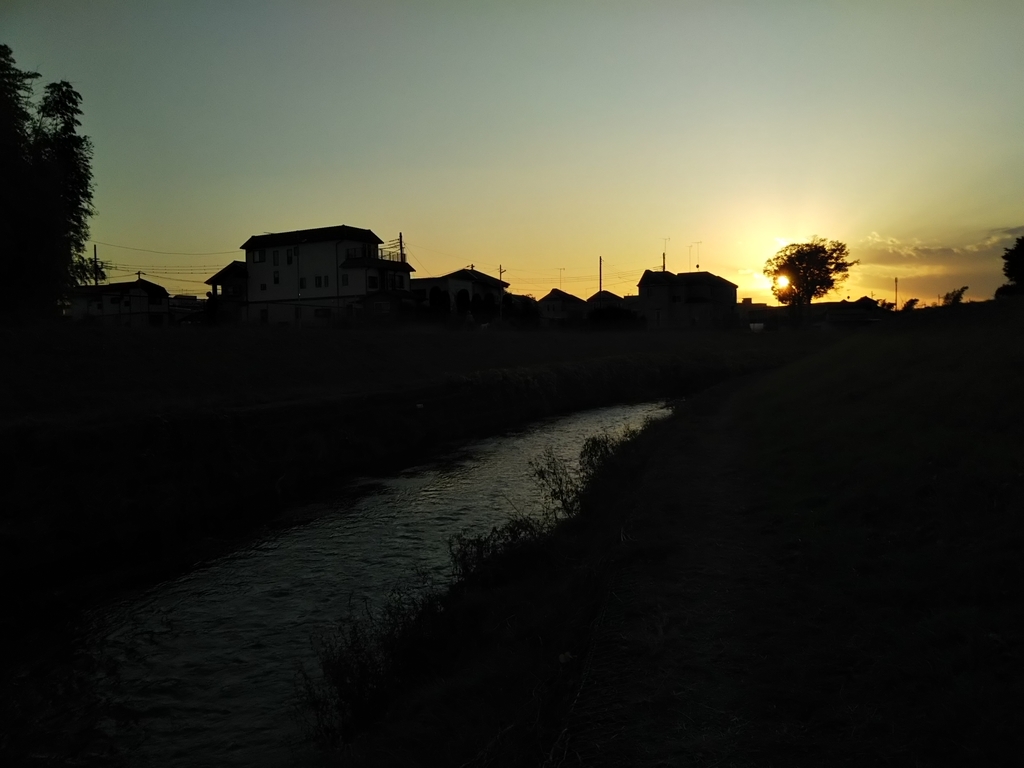 f:id:bontosyougatu:20181130203827j:plain