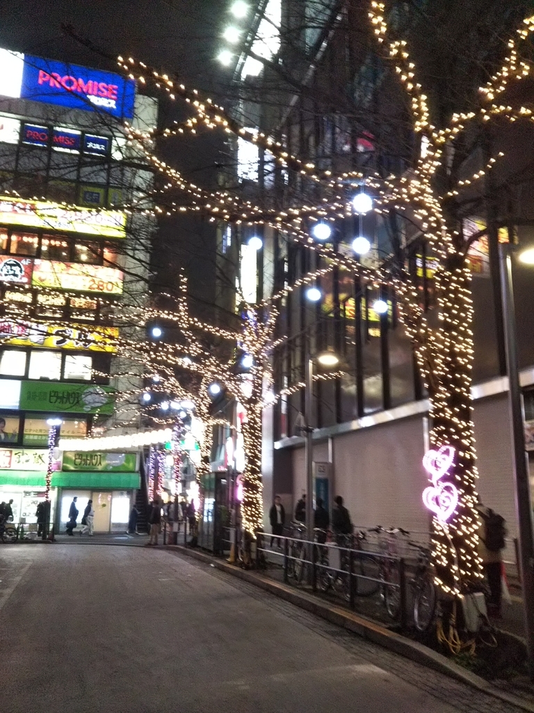 f:id:bontosyougatu:20181206222027j:plain