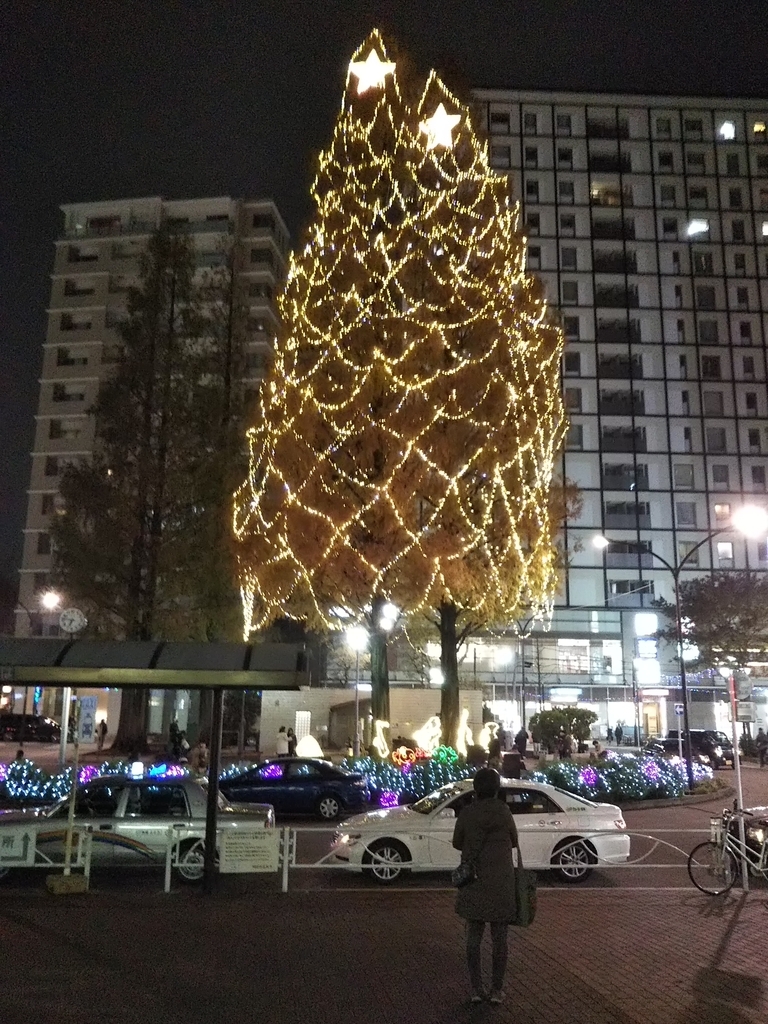 f:id:bontosyougatu:20181206222623j:plain