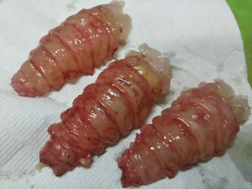 f:id:bontosyougatu:20190102215248j:plain