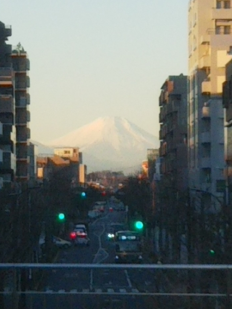 f:id:bontosyougatu:20190110224632j:plain