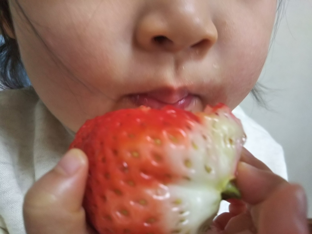 f:id:bontosyougatu:20190112223609j:plain